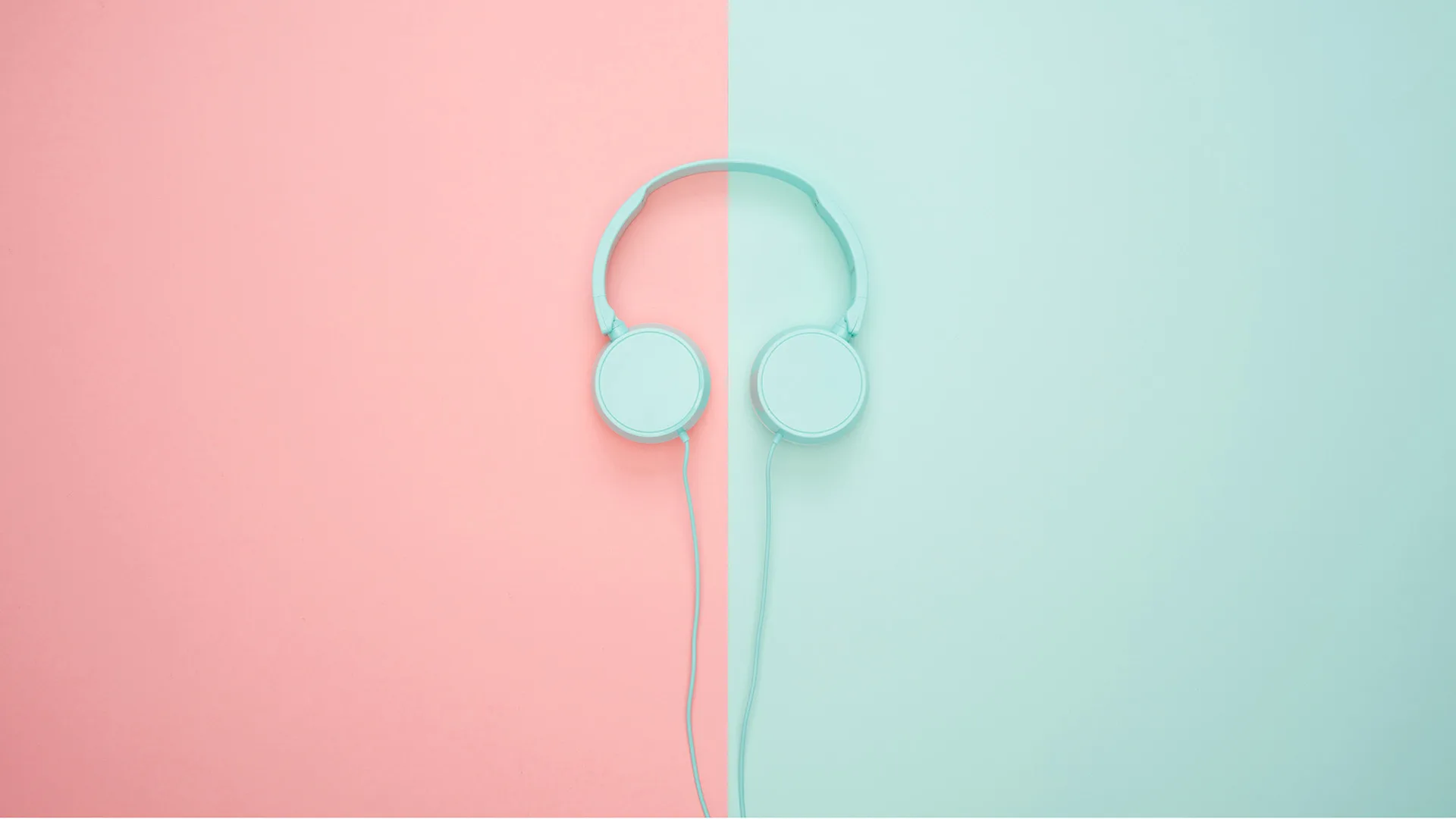 Portfolio - 人人体育